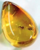 louro-jewellers-amber-2